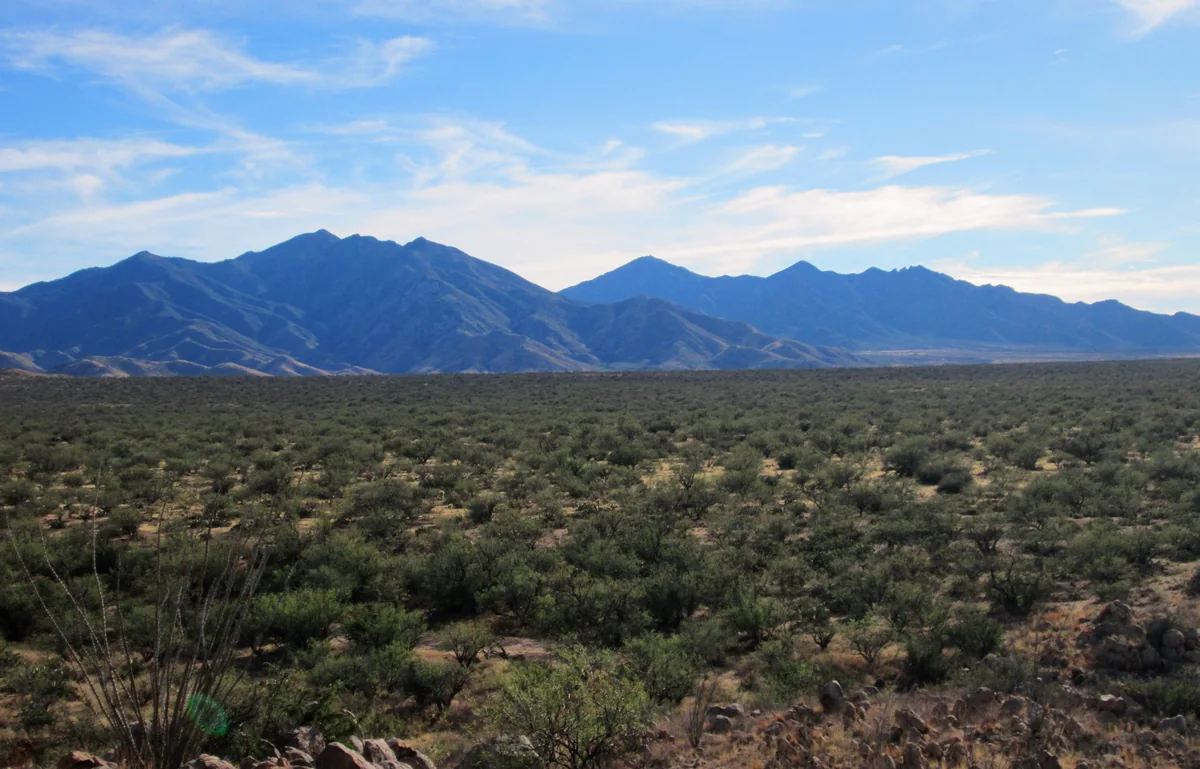 Santa Rita Mountains: $1LENCE D00600D / CC BY-SA 3.0. Regional landscape; not a property view.